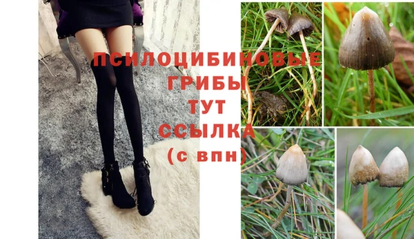 дживик Касимов