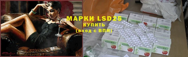 дживик Касимов