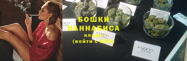 дживик Касимов