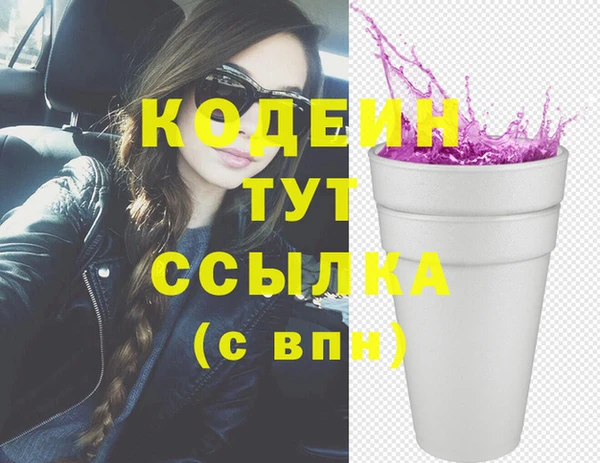 твердый Карпинск