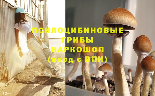 дживик Касимов
