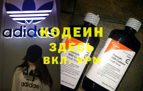 твердый Карпинск