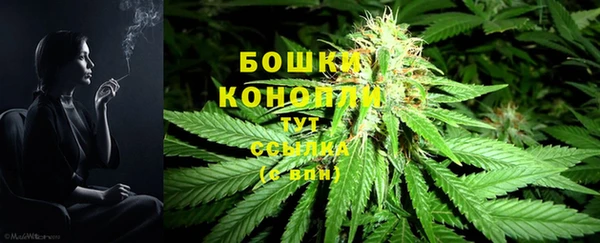 дживик Касимов