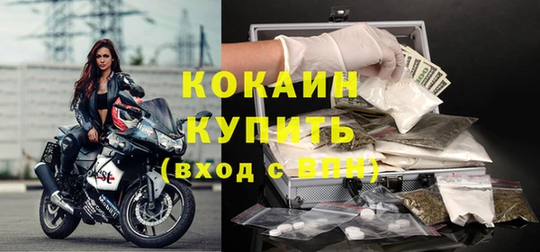 дживик Касимов