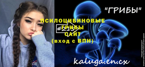 твердый Карпинск