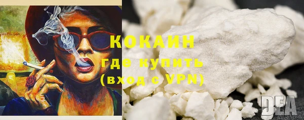 дживик Касимов