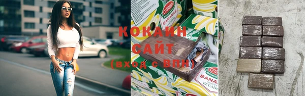 дживик Касимов