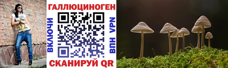 Псилоцибиновые грибы Psilocybine cubensis  Купить закладки  Верхняя Тура 